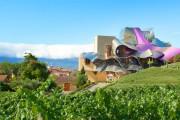 Hotel Marques de Riscal, A Luxury Collection