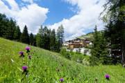 Lagació Hotel Mountain Residence