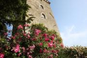 Residenza d'epoca Torre Almonte